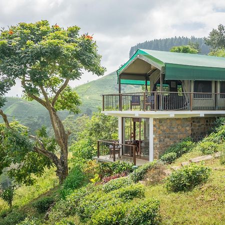 Madulkelle Tea And Eco Lodge Канді Екстер'єр фото