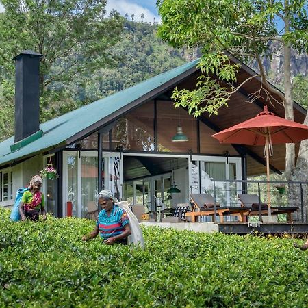 Madulkelle Tea And Eco Lodge Канді Екстер'єр фото