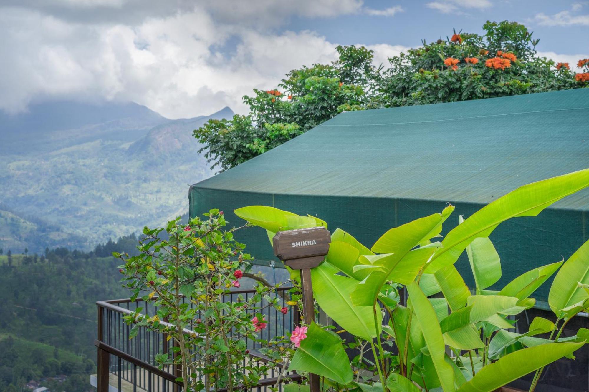 Madulkelle Tea And Eco Lodge Канді Екстер'єр фото