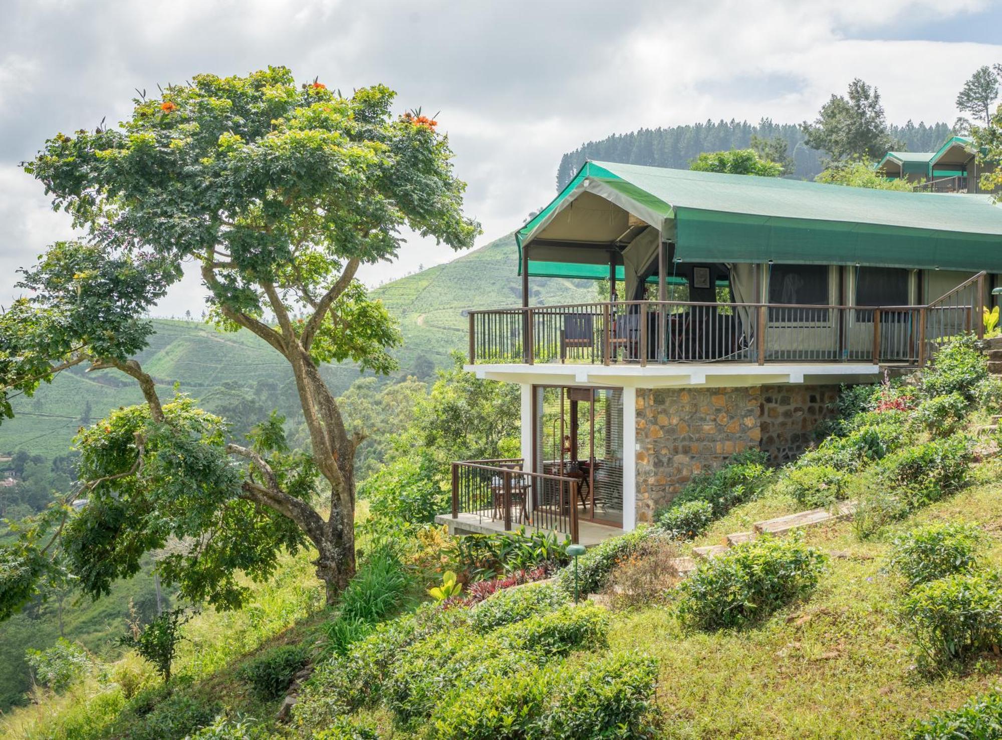 Madulkelle Tea And Eco Lodge Канді Екстер'єр фото
