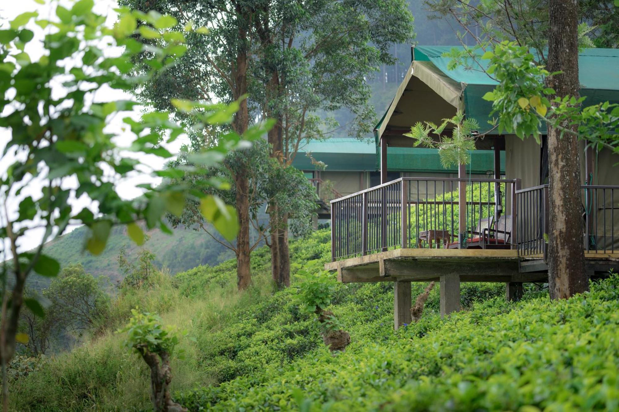 Madulkelle Tea And Eco Lodge Канді Екстер'єр фото