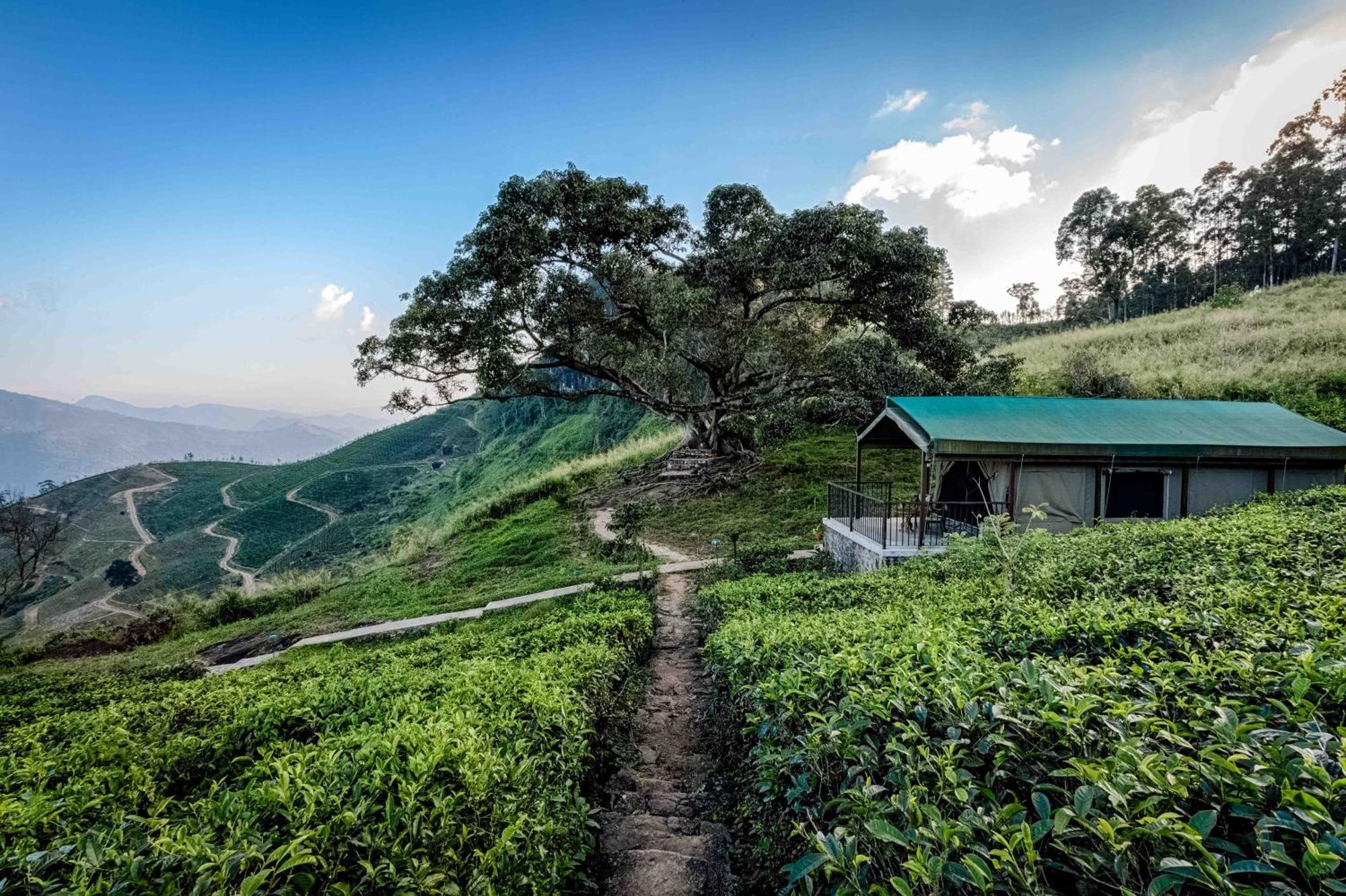 Madulkelle Tea And Eco Lodge Канді Екстер'єр фото