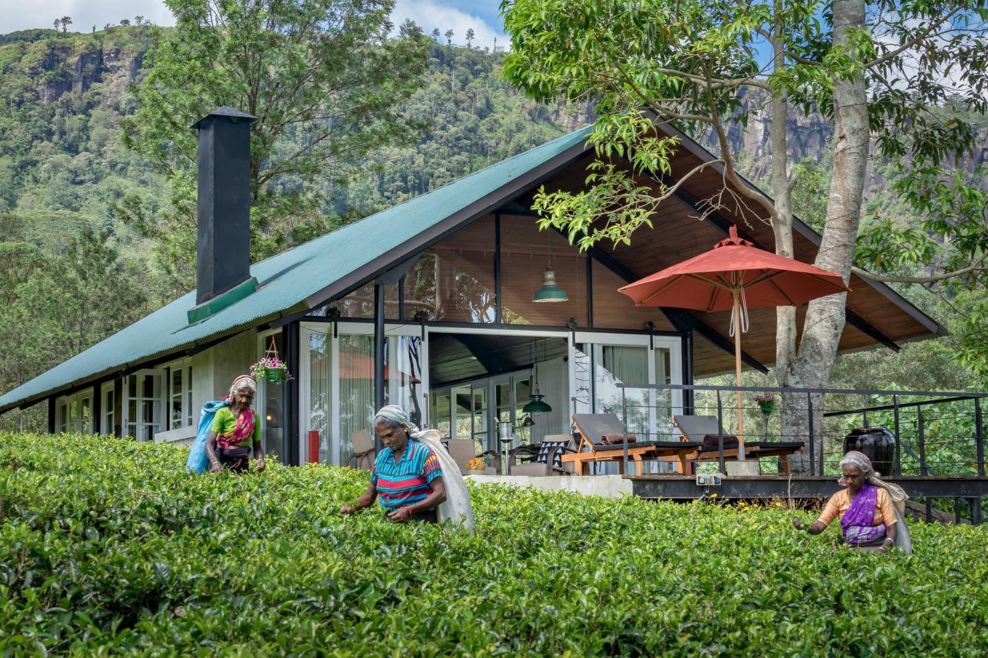 Madulkelle Tea And Eco Lodge Канді Екстер'єр фото